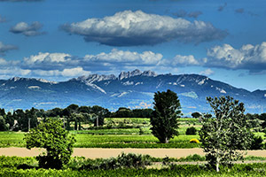 Le Clos des Chênes