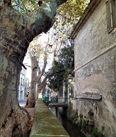 Avignon rue des Teinturiers